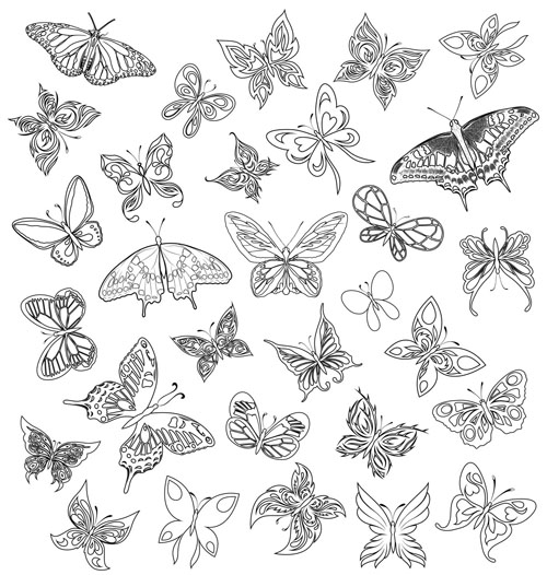 free vector A variety of butterflies vector